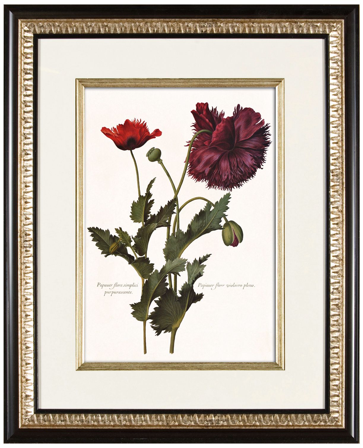 Deep Red I 21" High Floral Wall Art