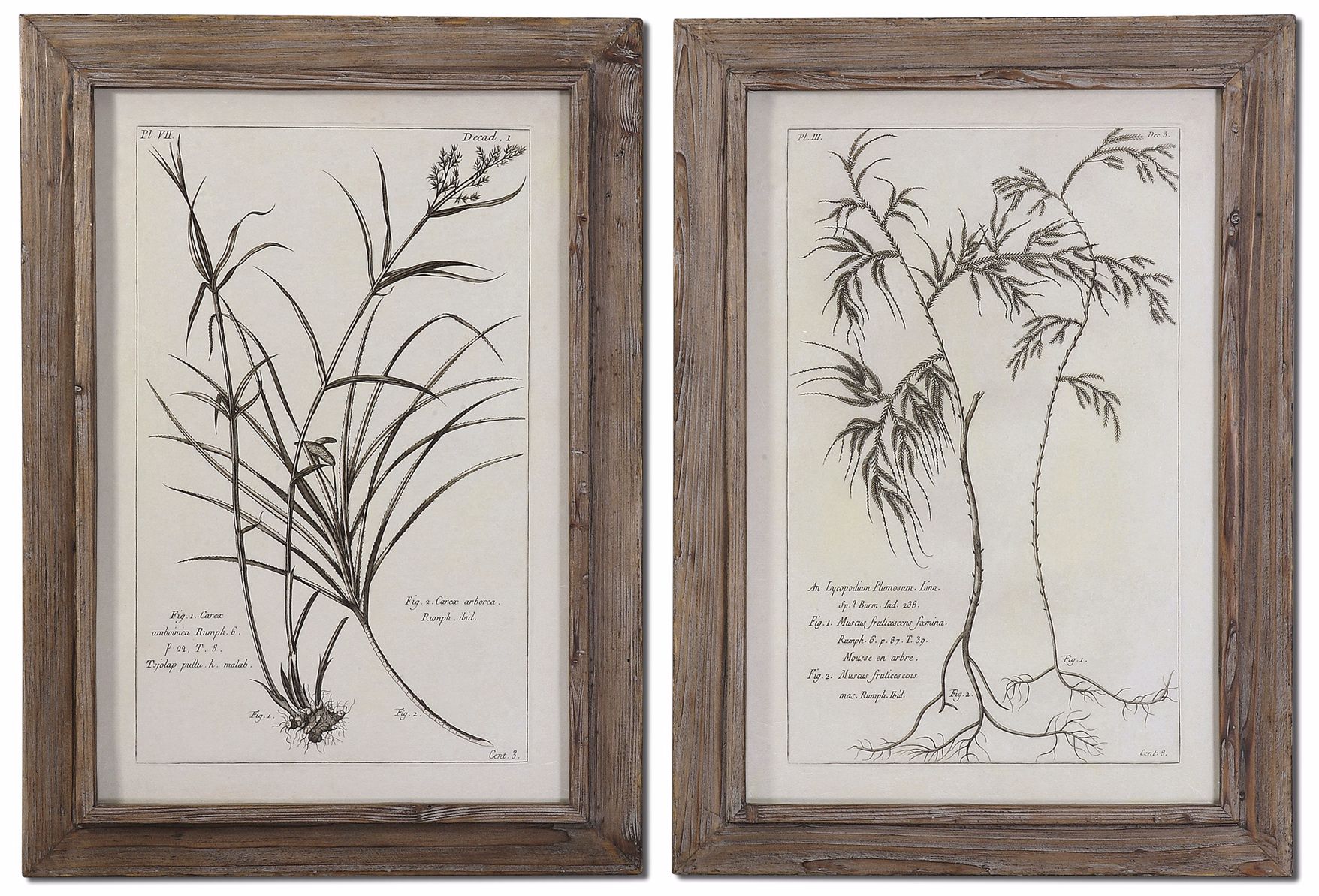 Set of 2 Nature's Harmony 35" High Uttermost Wall Art