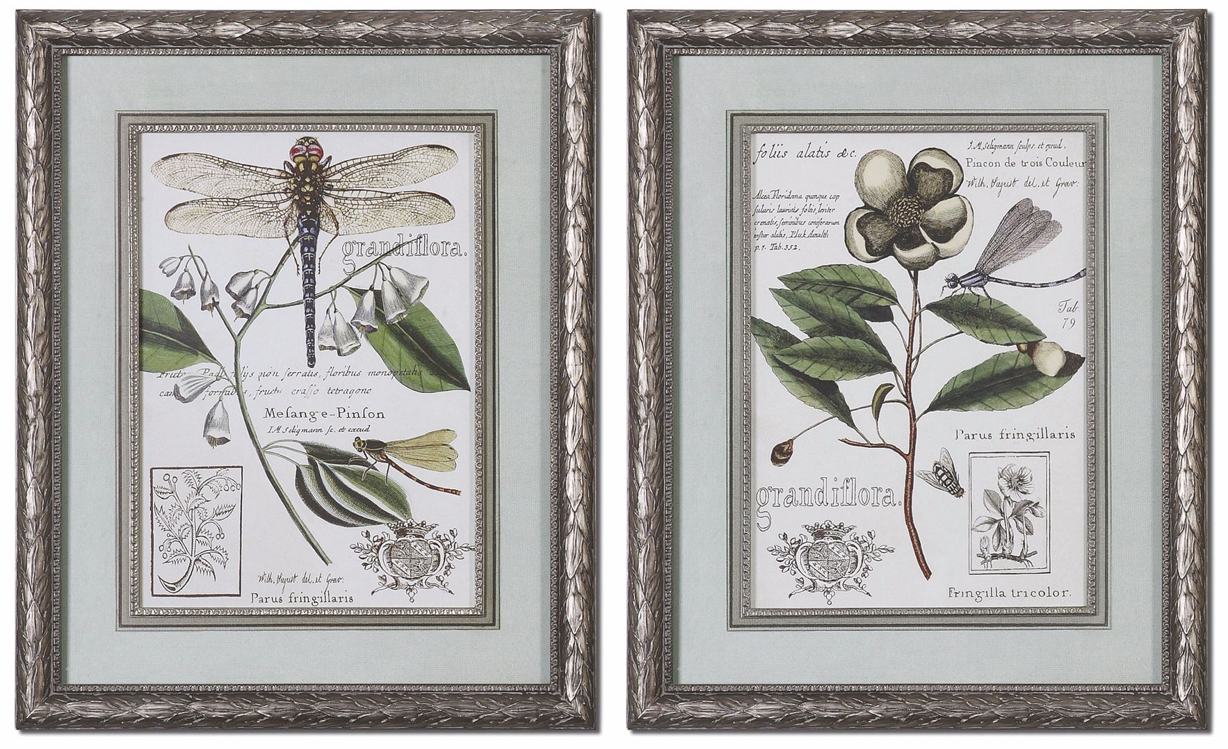 Set of 2 Grandiflora 32" High Uttermost Floral Wall Art