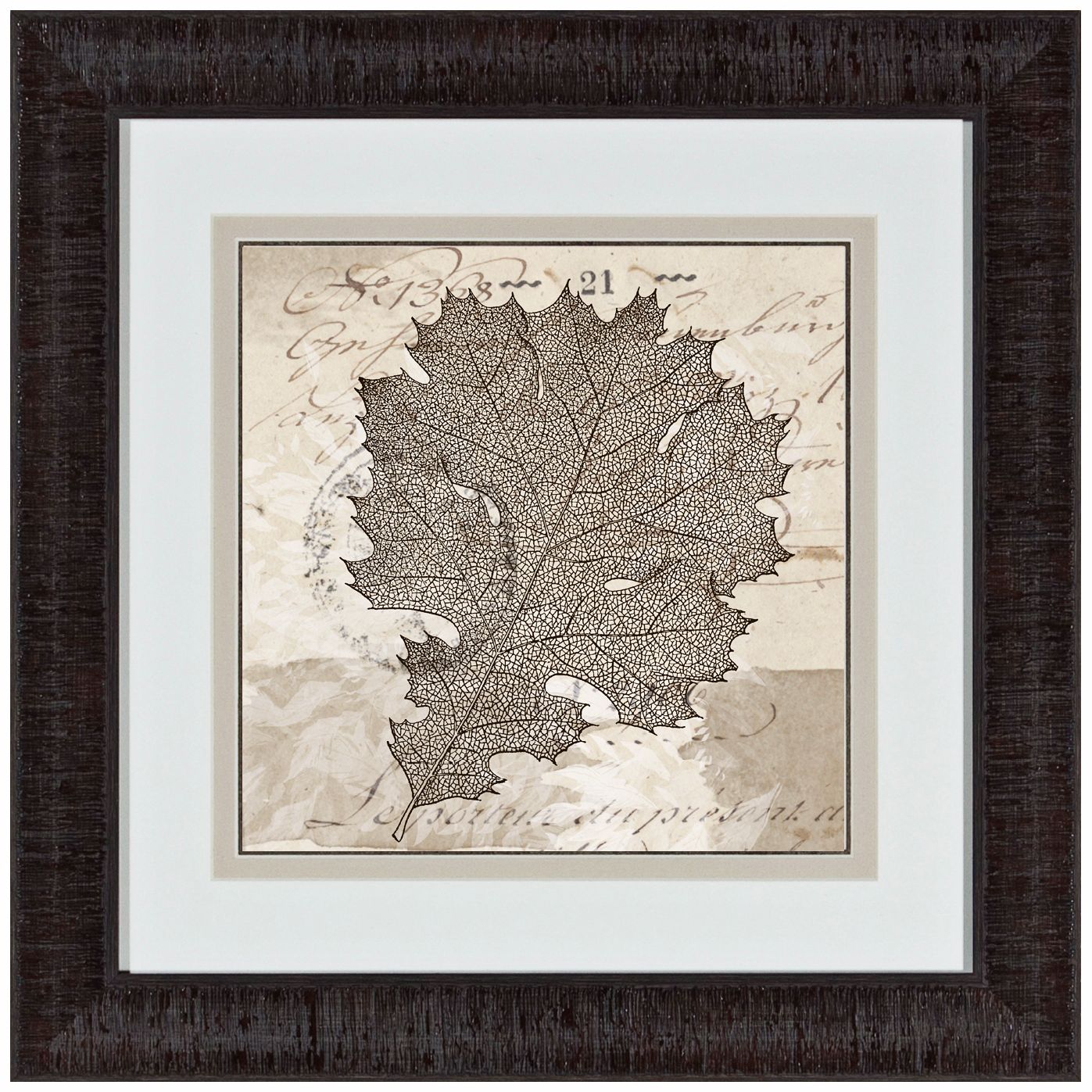 Sophisticated Botany II 17" Square Framed Wall Art