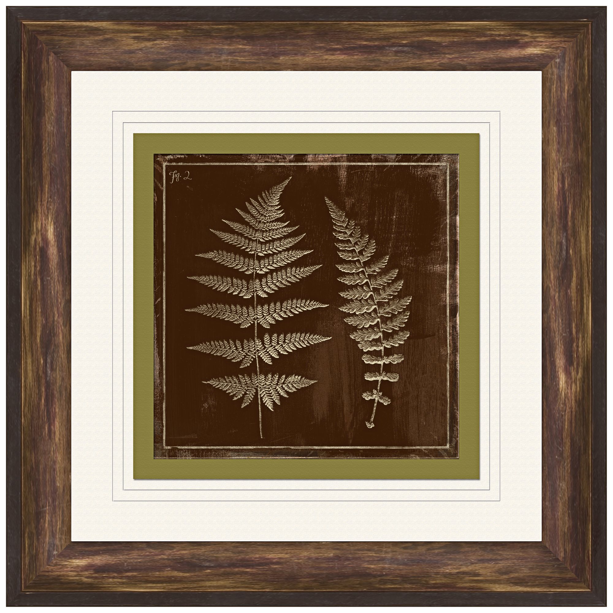 Fern Imprint 14 3/4" Square Framed Botanical Wall Art
