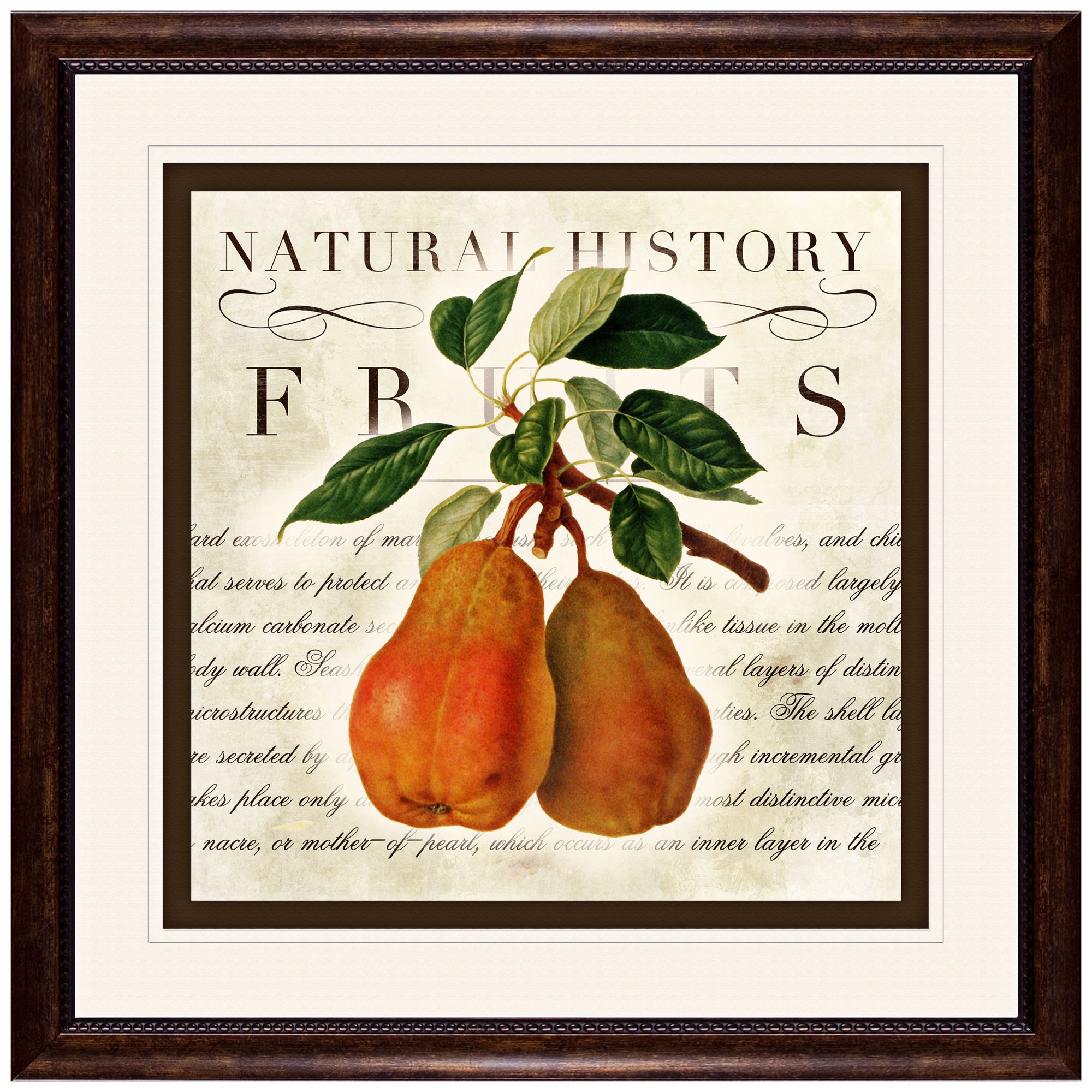 Pears 18 1/2" Square Fruit Wall Art