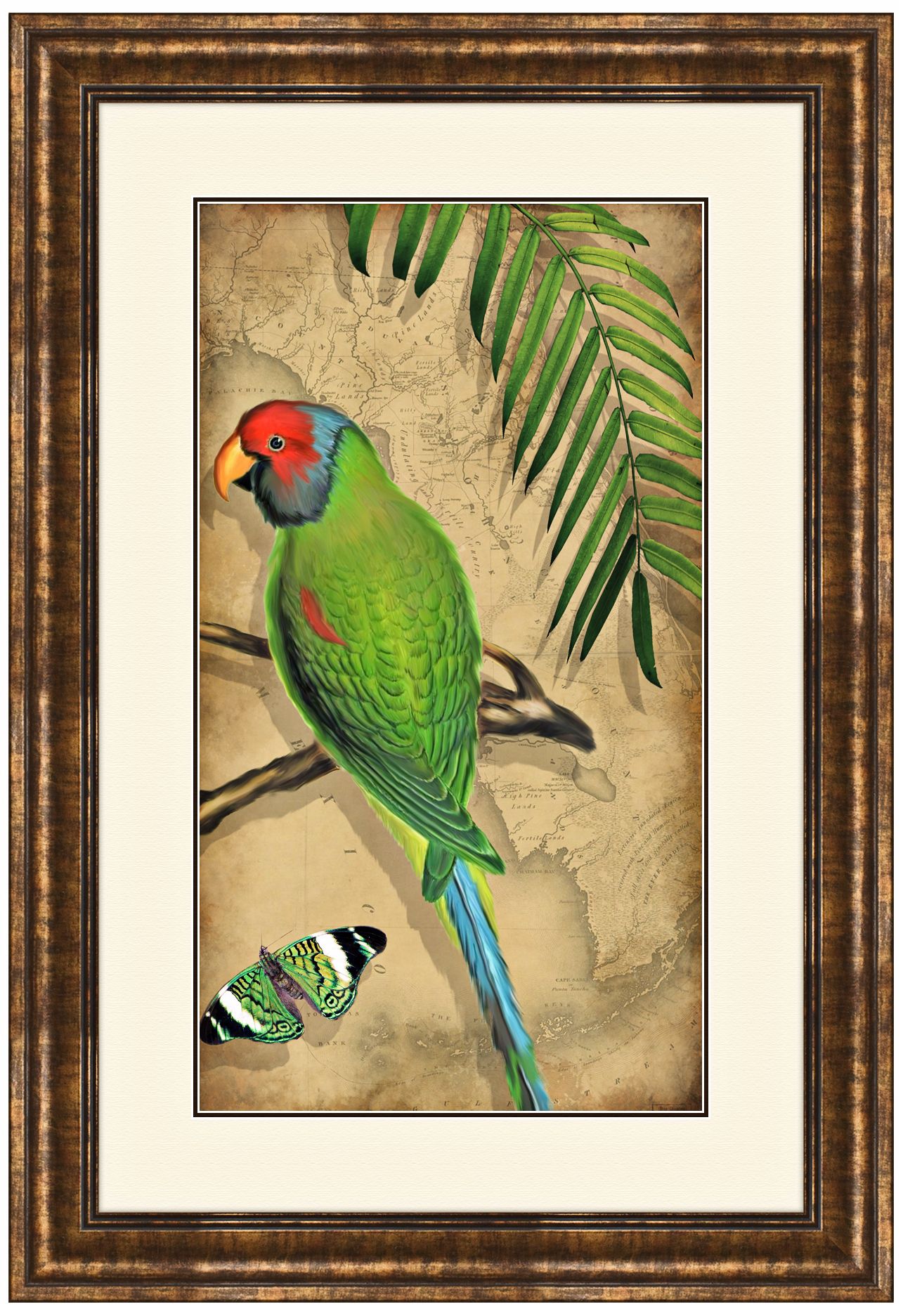 Parrota I 25 1/2" High Framed Bird Wall Art