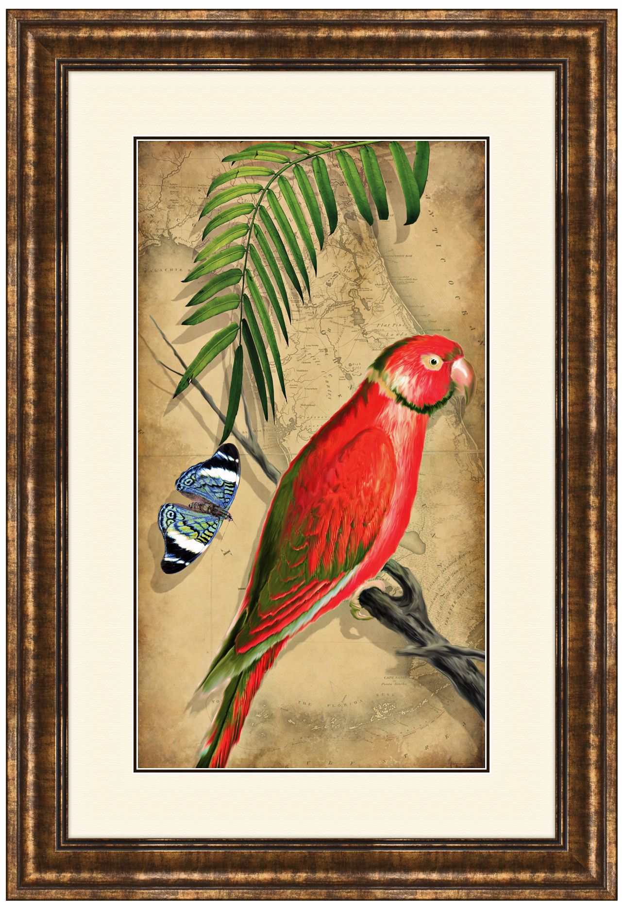 Parrota II 25 1/2" High Framed Bird Wall Art