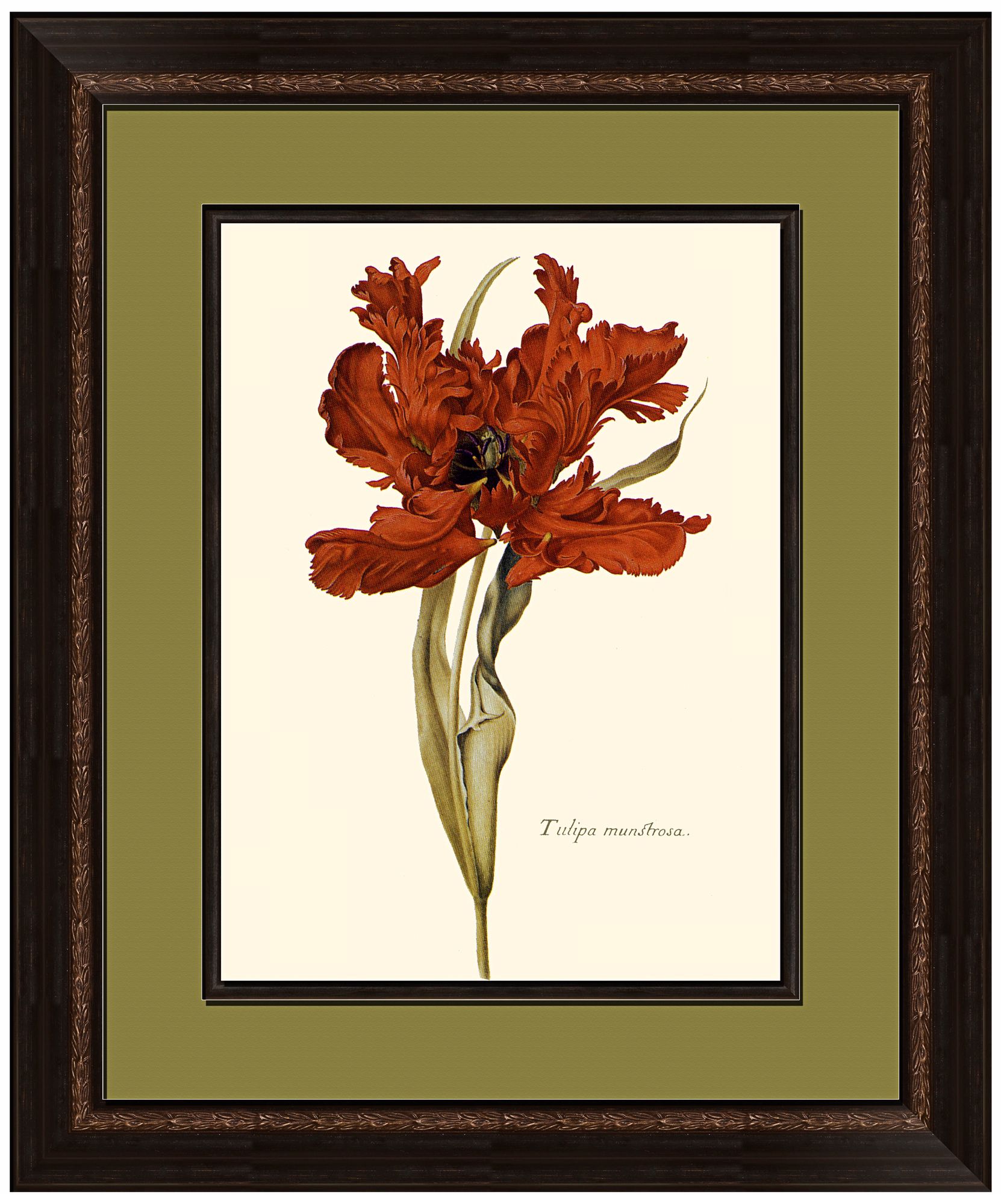 botanical framed leaf square lampsplus warm floral