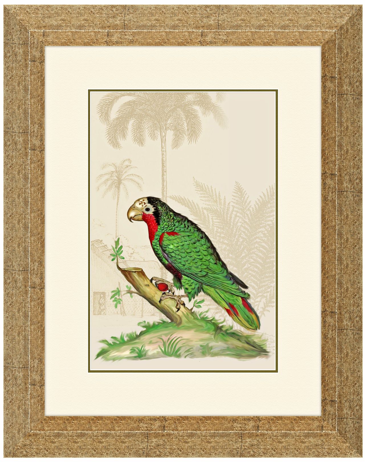 Parrot Italian I 19 1/2" High Framed Bird Wall Art