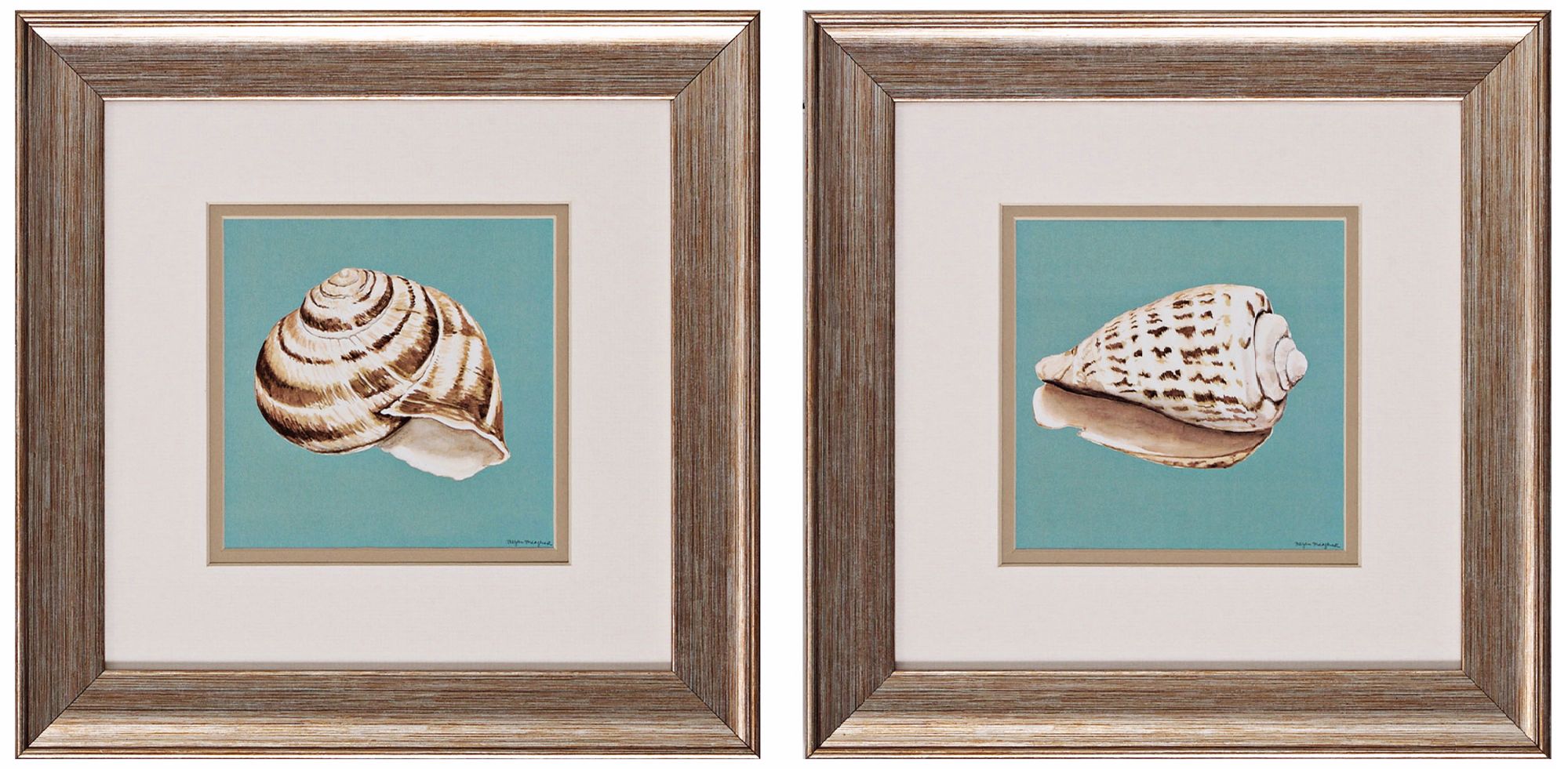 Set of 2 Seashells Wall Art Prints