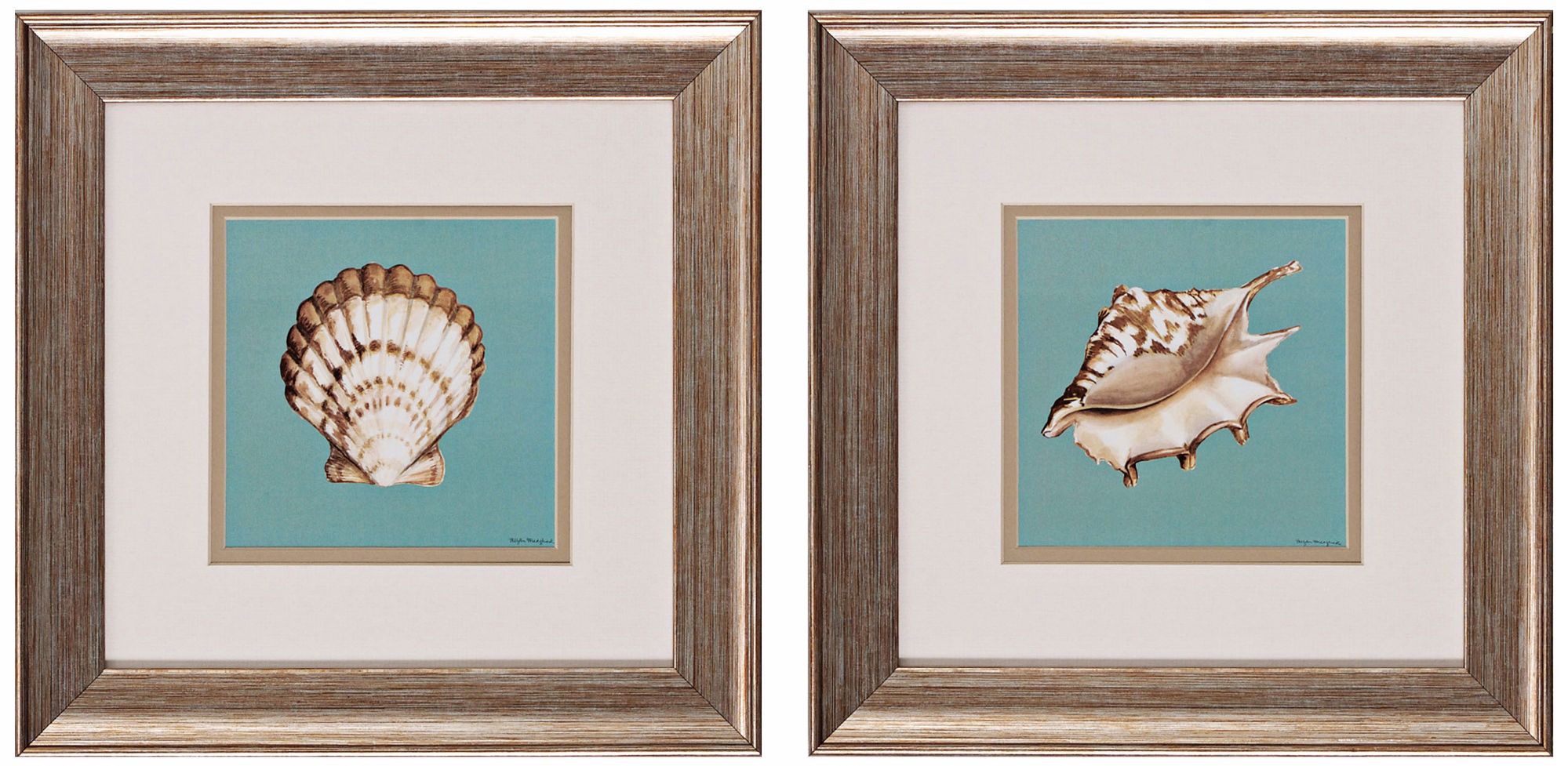 Set of 2 Ocean Seashells Wall Art Prints