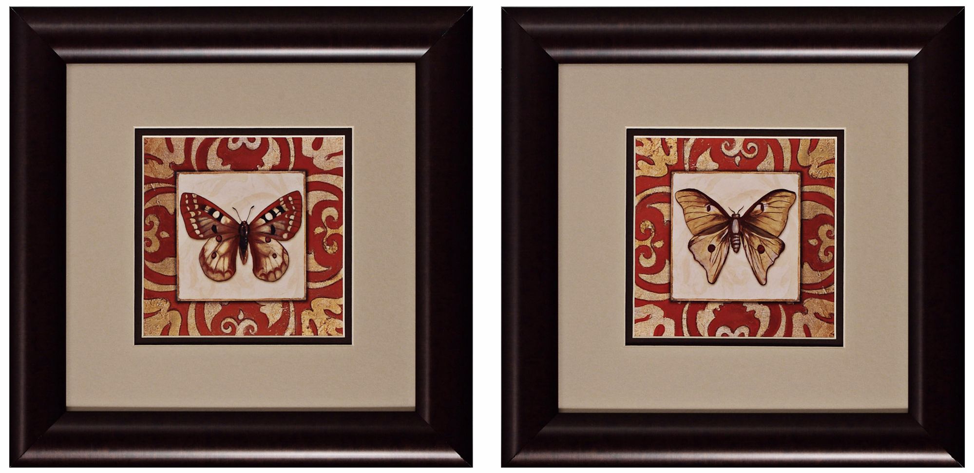 Moroccan Butterfly Set of 2 Art Prints