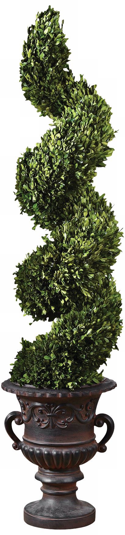Uttermost Preserved Boxwood Spiral Topiary