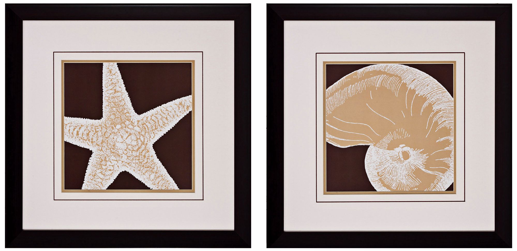 Set of 2 Shell I/II 23" Square Framed Coastal Wall