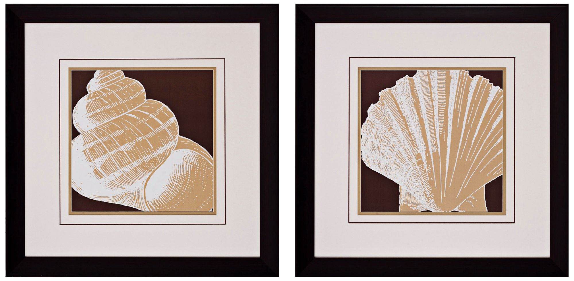 Set of 2 Shell III/IV 23" Square Coastal Wall Art