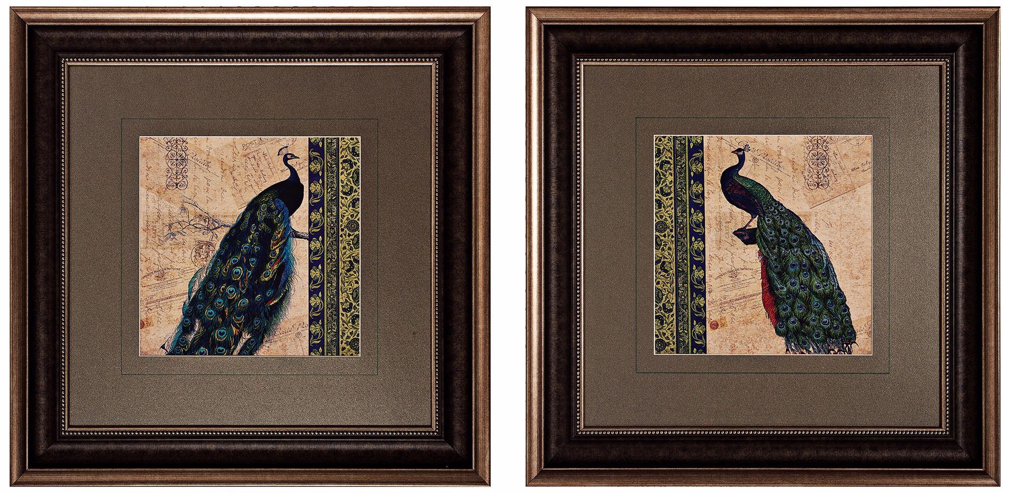 Set of 2 Peacock I/II 26" Square Wall Art