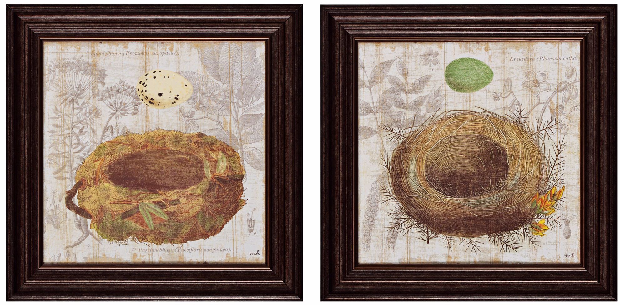 Set of 2 Nest I/II 16" Square Bird's Nest Wall Art