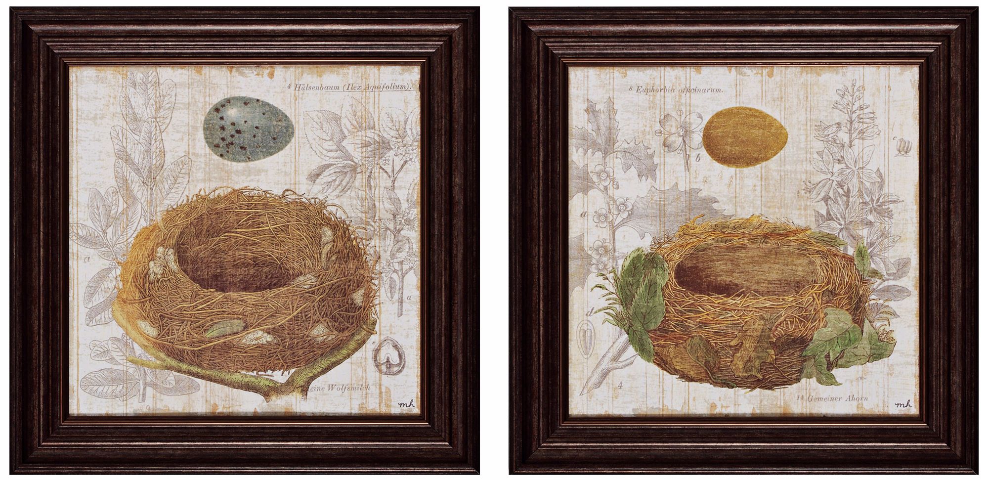 Set of 2 Nest III/IV 16" Square Nature Wall Art