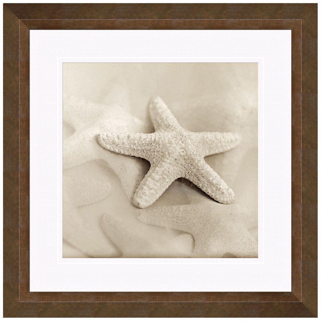 Sepia Coastal I 18 1/2" Square Still Life Photo Wall Art