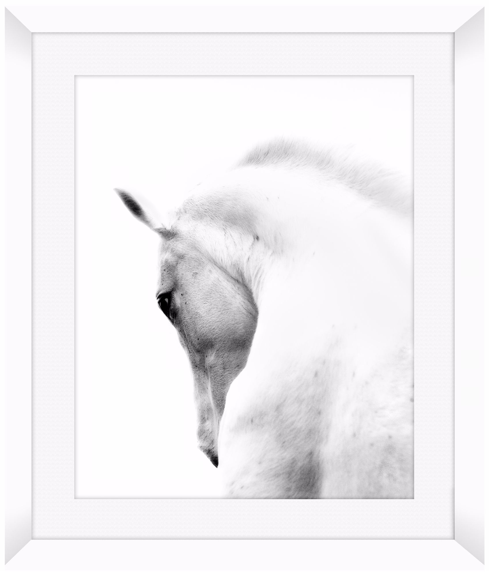 White Horse 26 1/2" High Framed Photo Wall Art