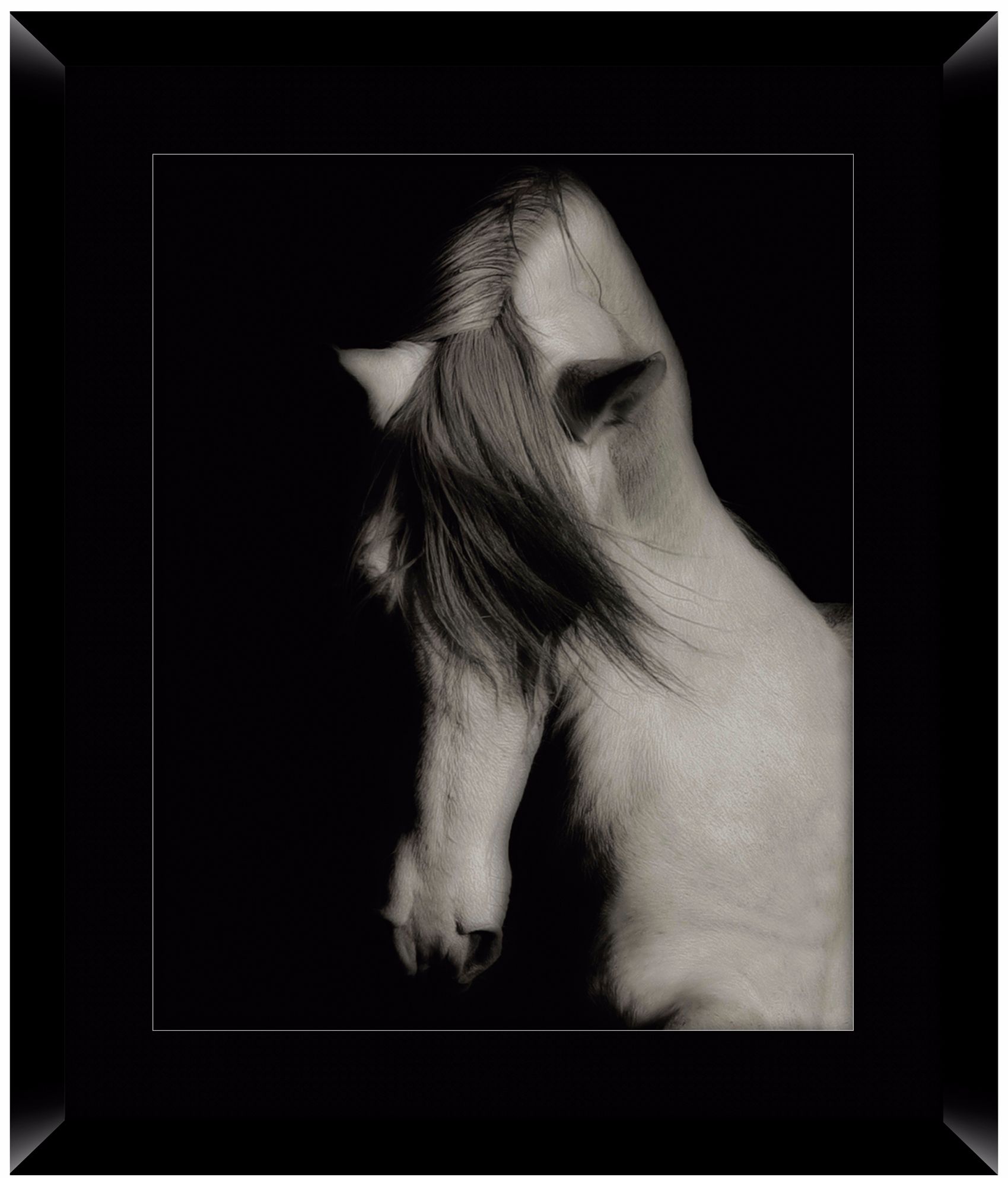 Black Horse 26 1/2" High Framed Photo Wall Art