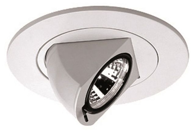 WAC 4" Low Voltage Adjustable Angle Recessed Light Trim