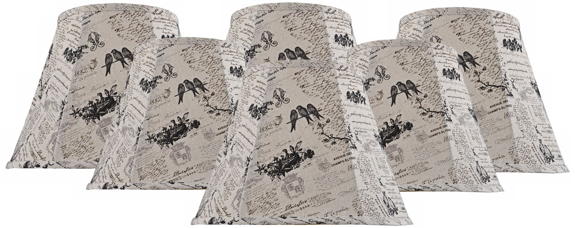 Set of 6 Black Bird Script Shades 3x5x4.5 (Clip-On)
