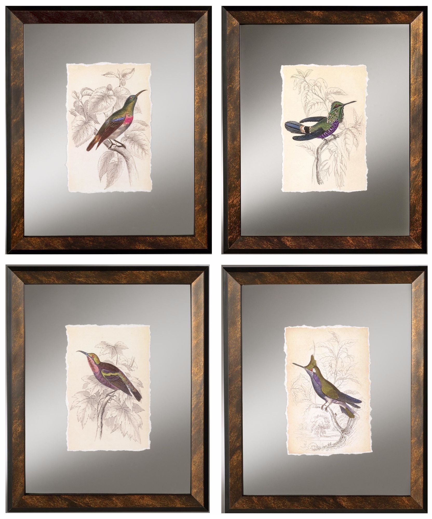Set of 4 Jardine Hummingbird Framed Wall Art Prints