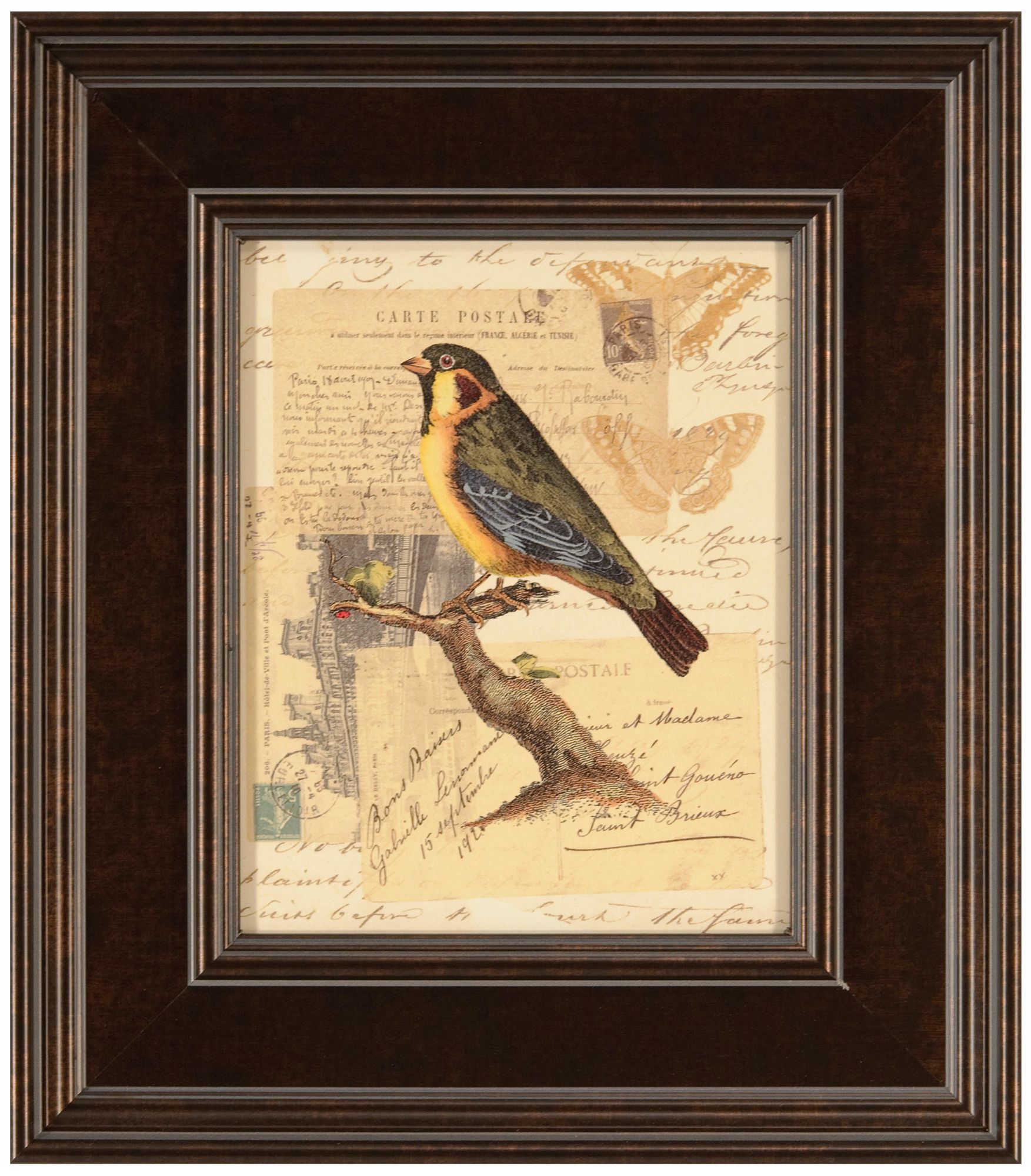 Naturalist's Collage III Framed 16" High Bird Wall Art