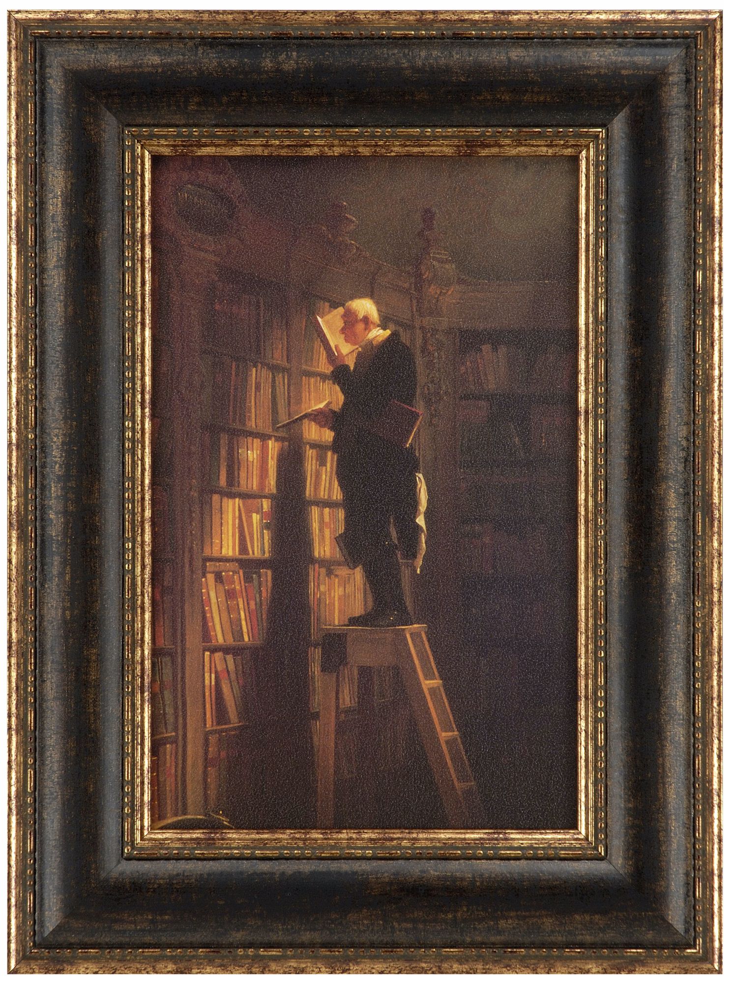 The Bookworm 24" High Framed Wall Art