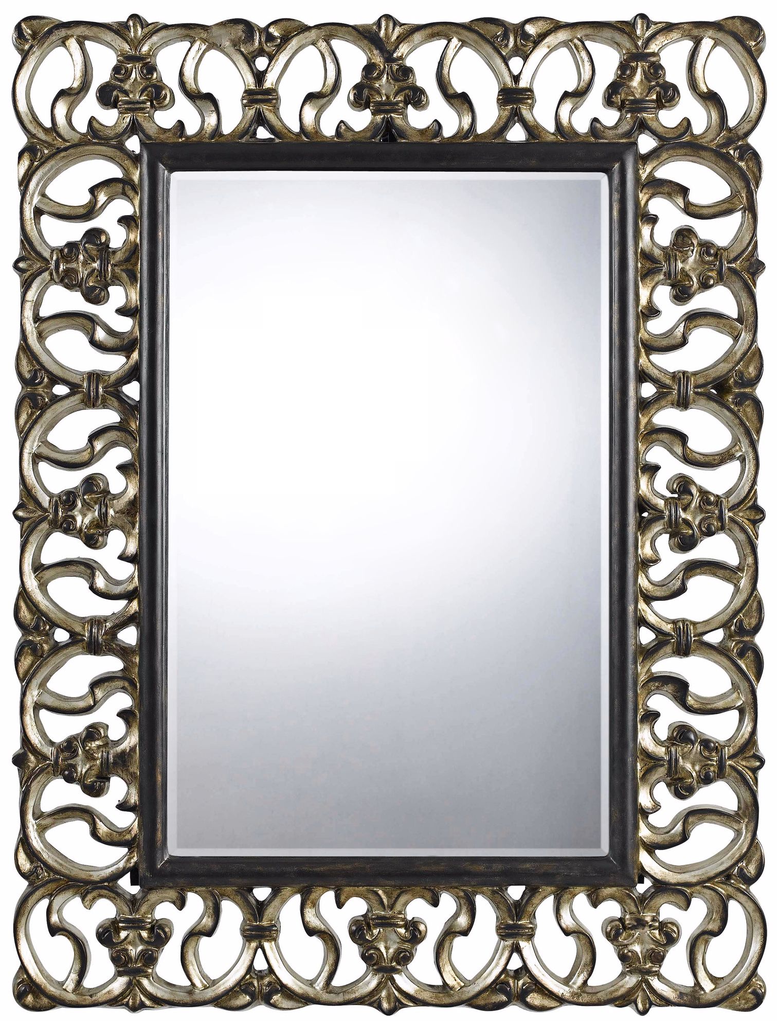 Ormond 48" High Rectangular Wall Mirror