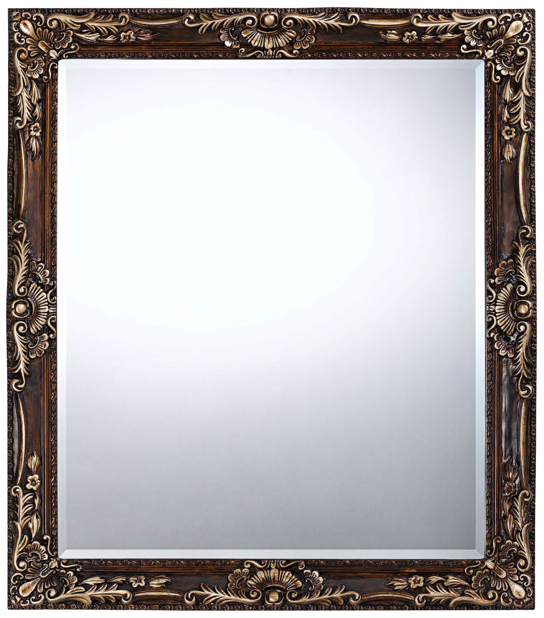 Hamilton 33" High Floral Rectangular Wall Mirror