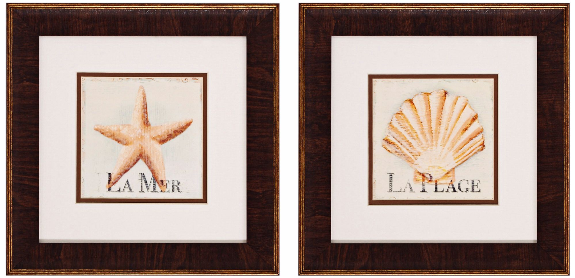 Set of 2 La Mer and La Plage 13" Seashell Wall Art