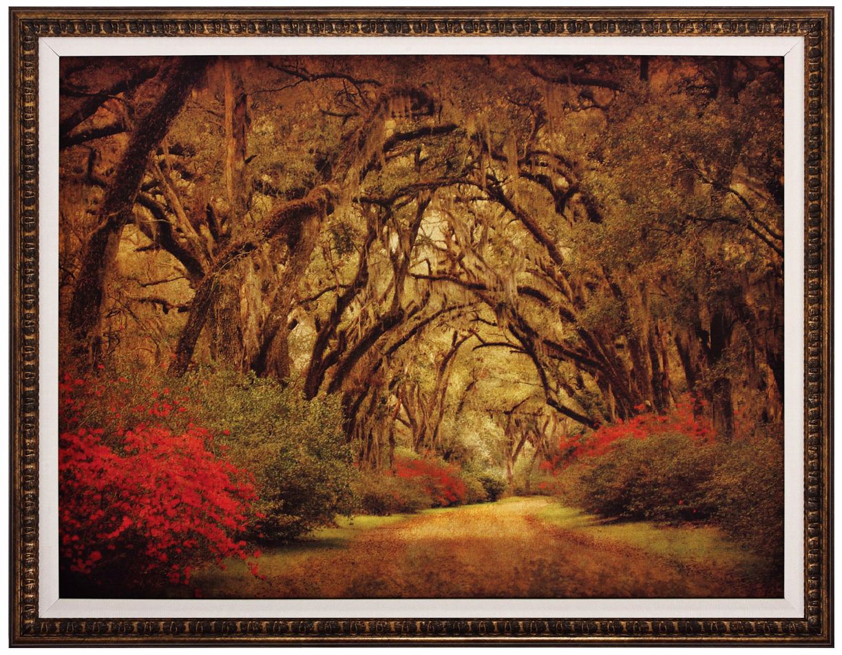 Road with Oaks 36" Wide Framed Wall Art