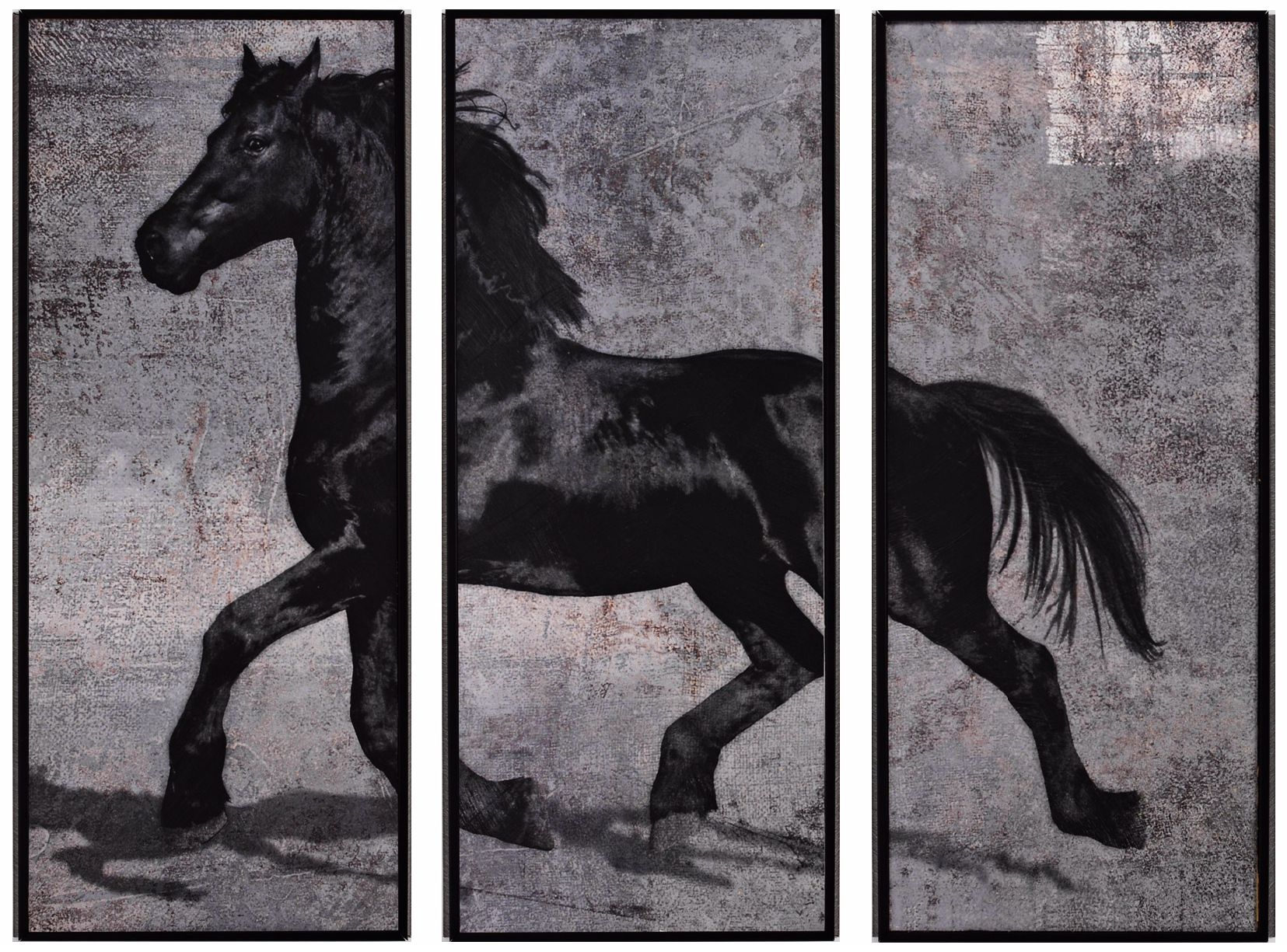 Set of 3 Caballus III/IV/V 33" Wide Horse Wall Art