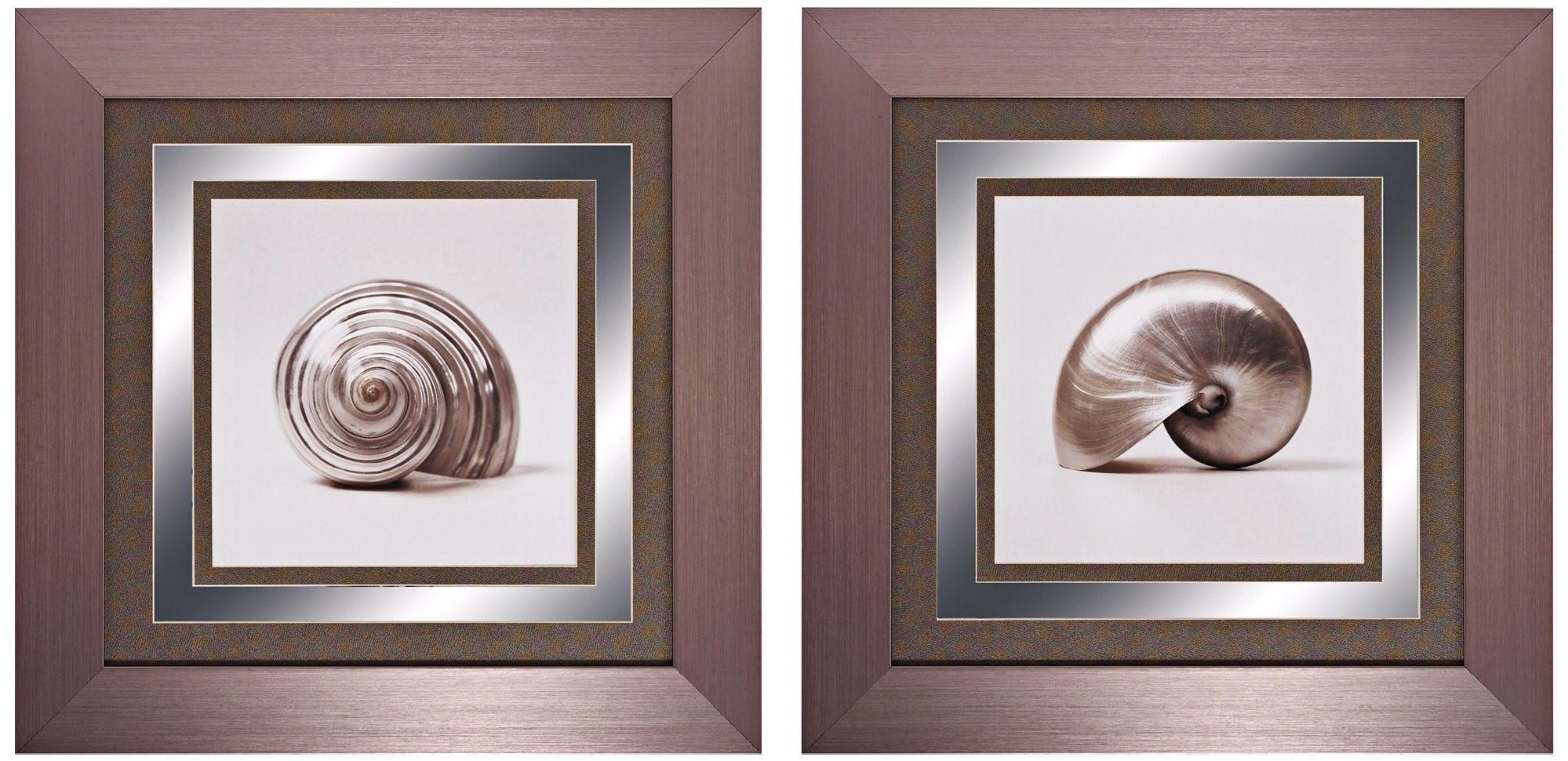 Set of 2 Beachside I/II 24" Square Seashell Wall Art