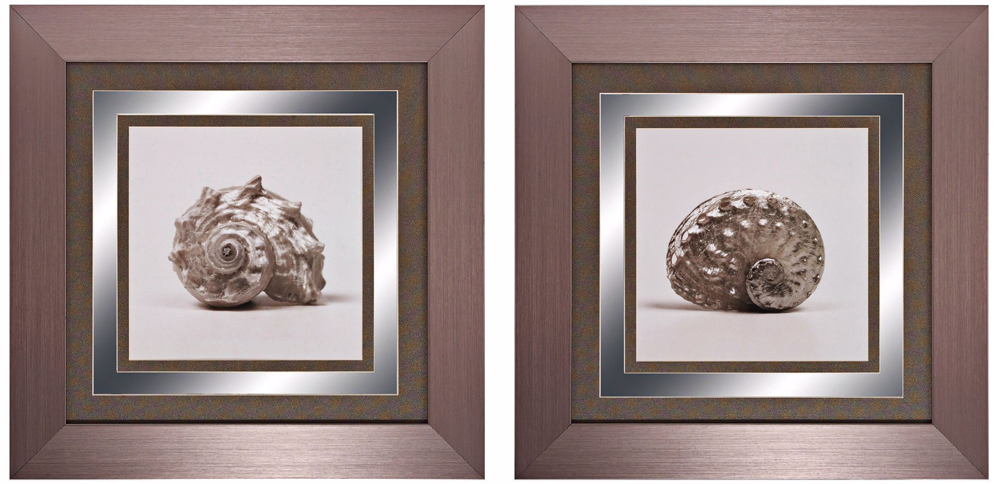 Set of 2 Beachside III/IV 24" Square Seashell Wall Art