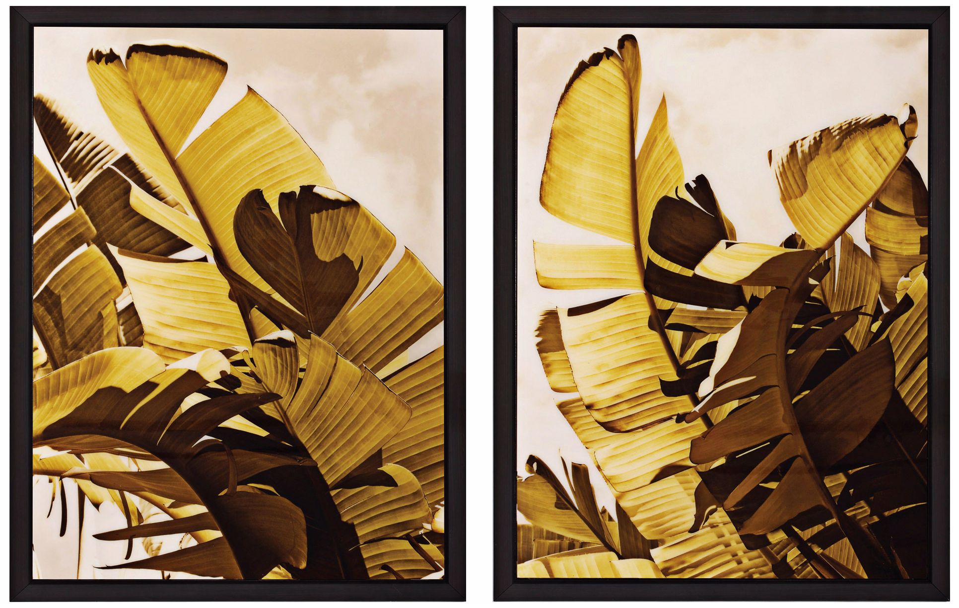 Set of 2 Palm Fronds I/II 26" High Tropical Wall Art
