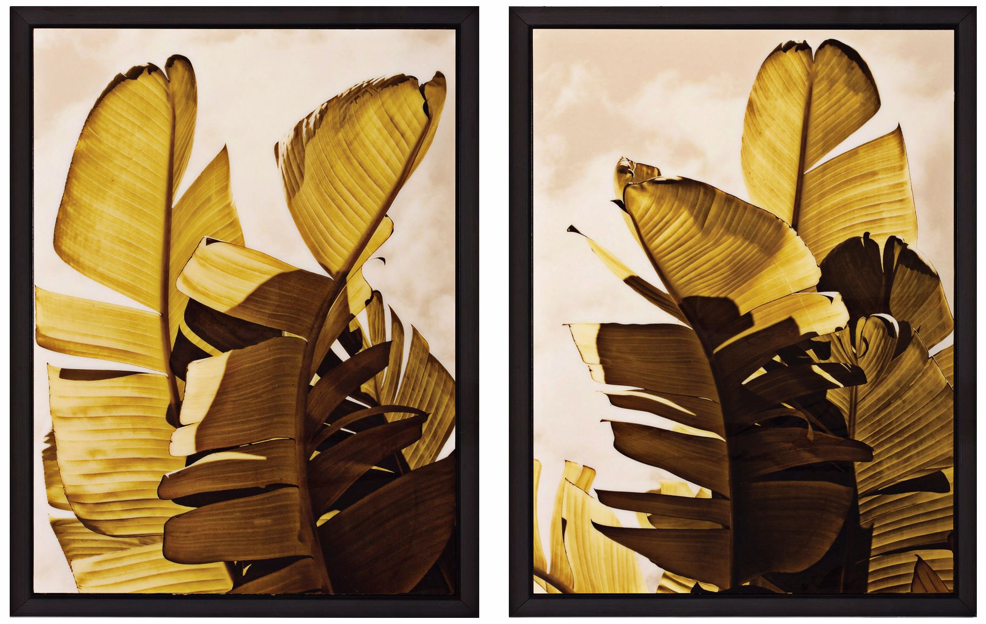Set of 2 Palm Fronds III/IV 26" High Tropical Wall Art