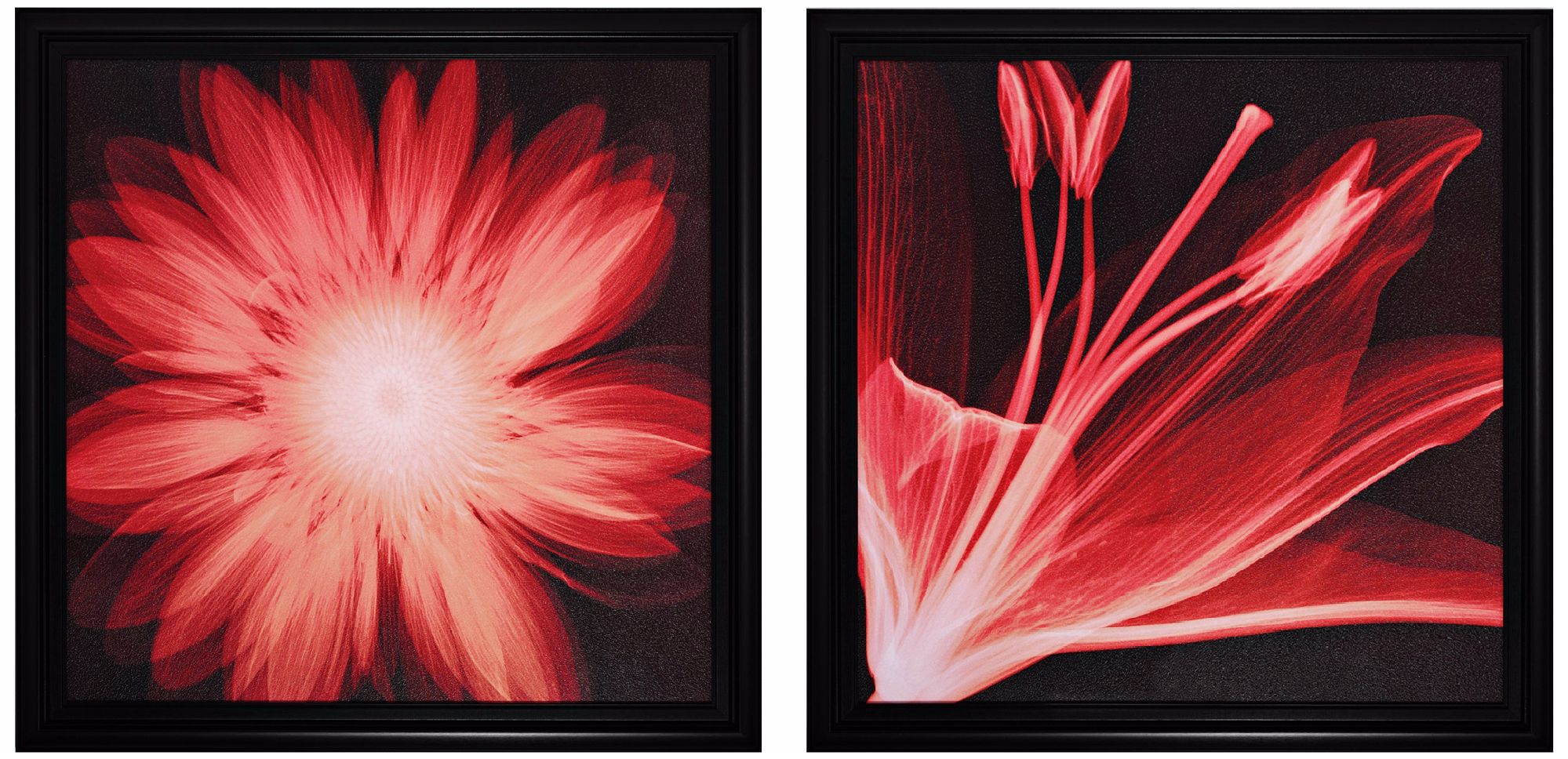 Set of 2 Lilium/Gerbera 30" Square Flower Wall Art