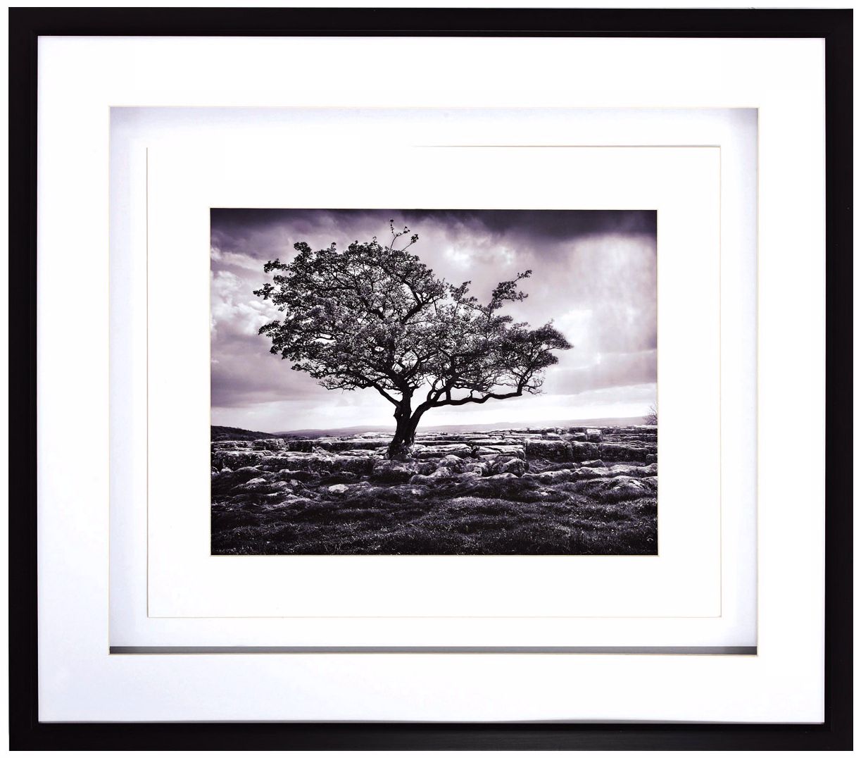 Pavement 34" Wide Shadowbox Framed Wall Art