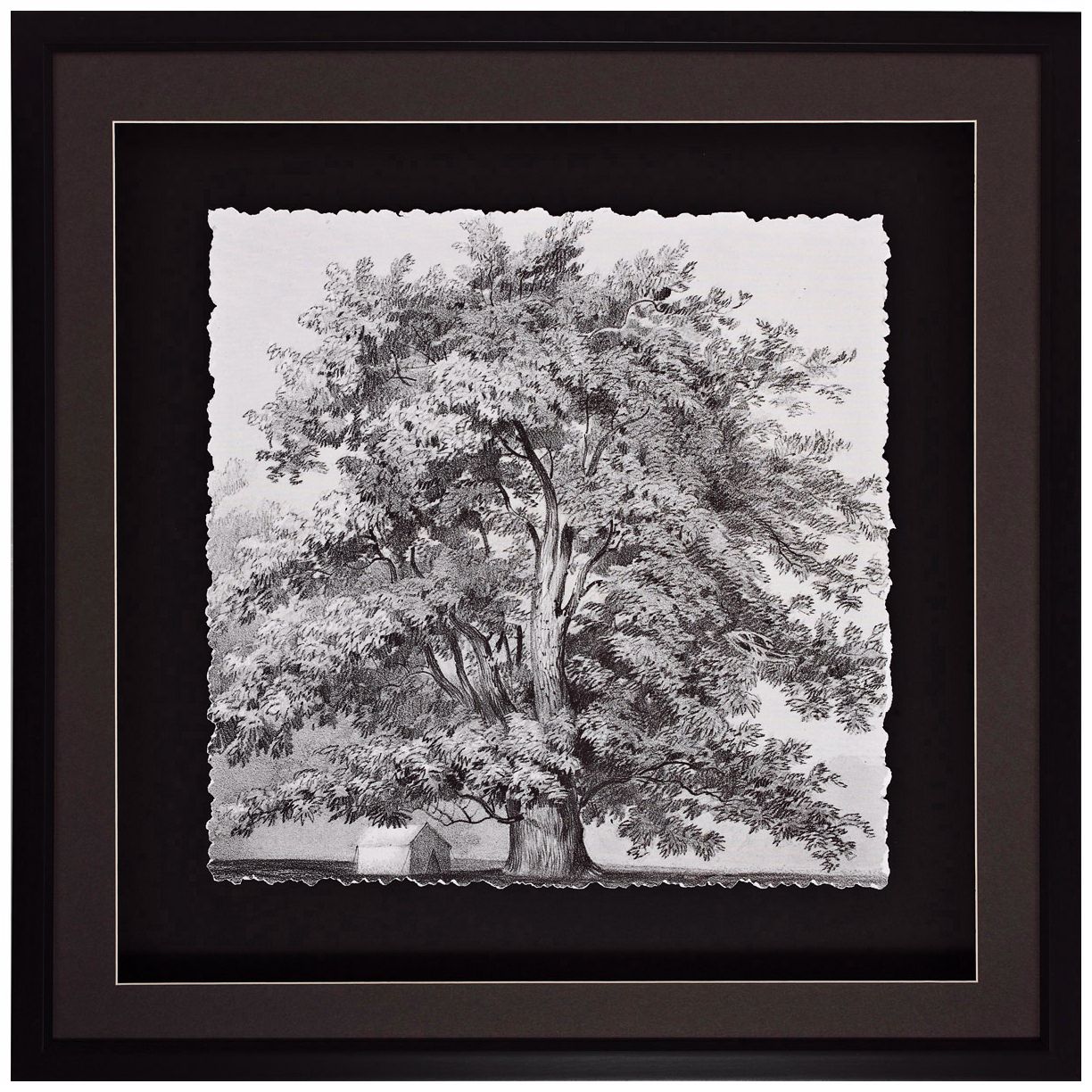 Silver Majesty I 30" Square Tree Wall Art