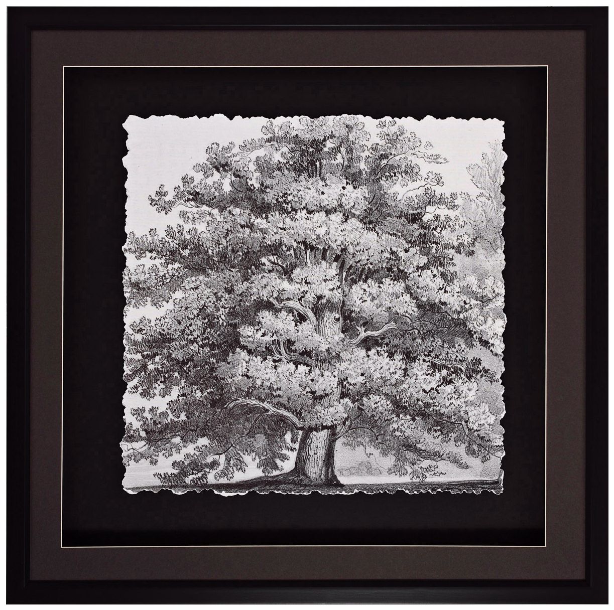 Silver Majesty II 30" Square Tree Wall Art