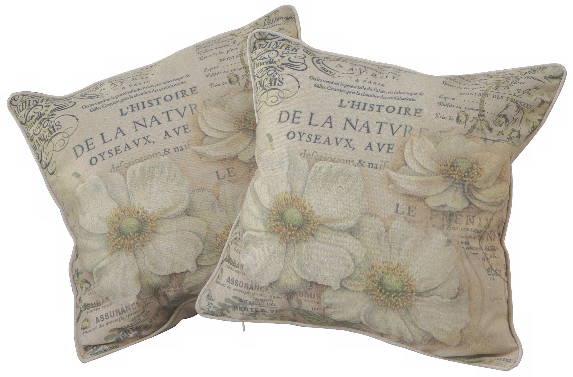 Set of 2 Flower Scroll 18" Square Throw Pillows
