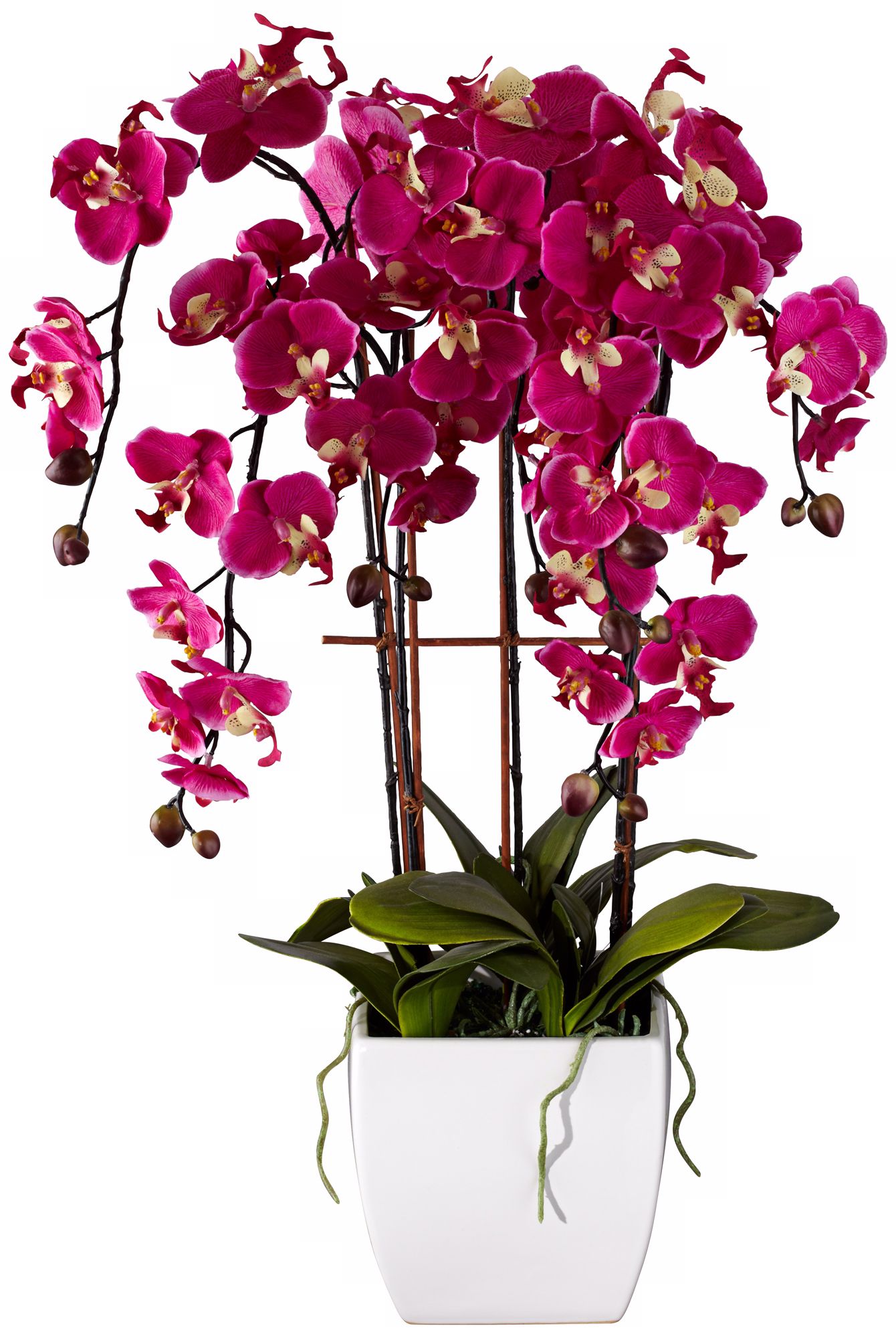 Potted White Ceramic 12" High Faux Fuchsia Orchid