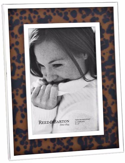 Reed and Barton Tortoise 4x6" Contemporary Picture Frame