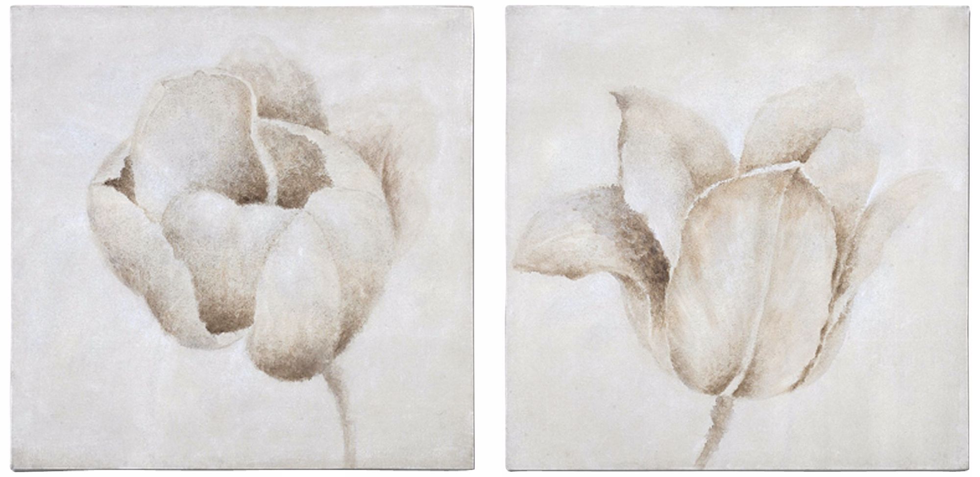 Uttermost Set of 2 Earth Flowers 30" Square Wall Art