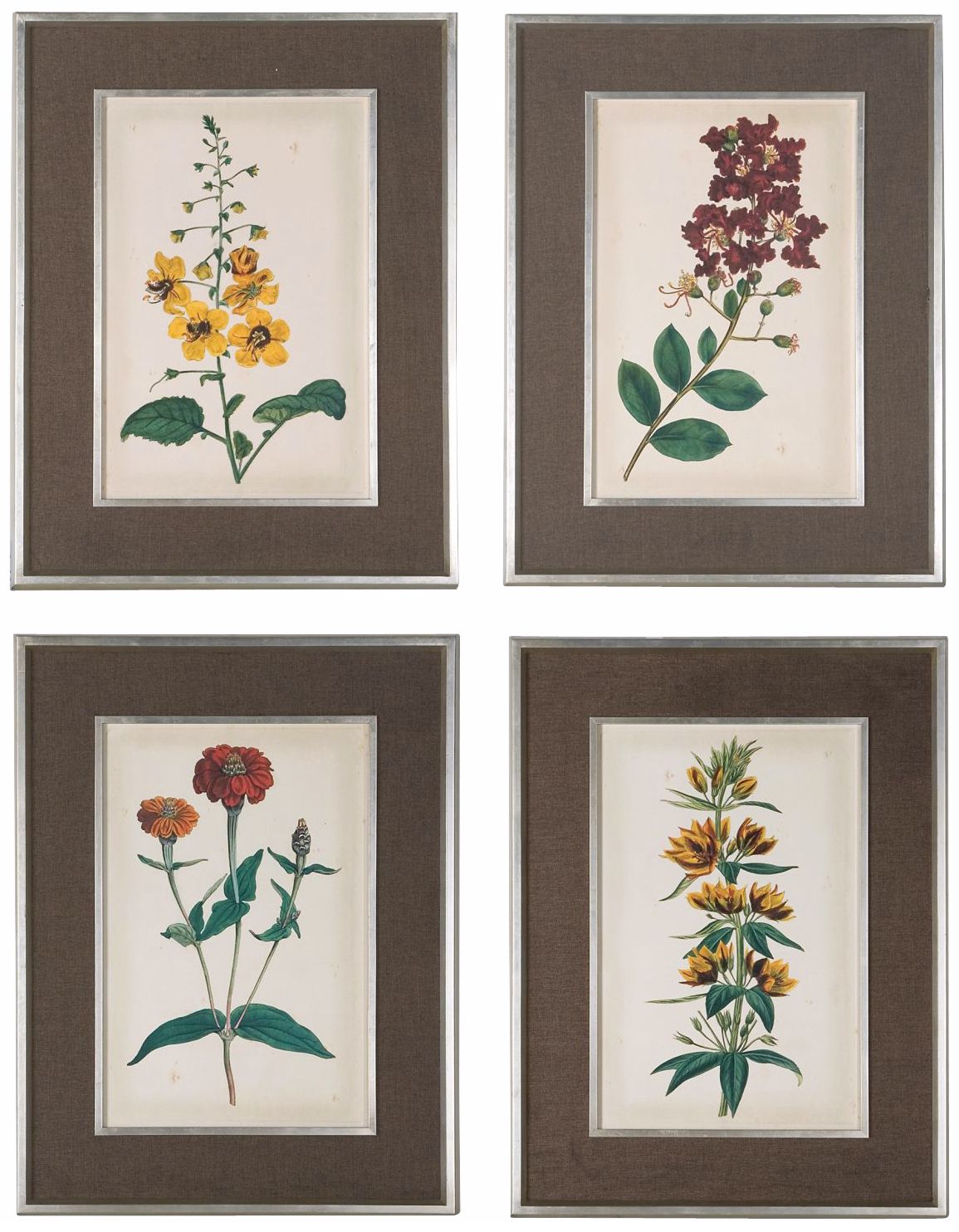Uttermost Set of 4 Floral Varieties 34"High Wall Art Prints