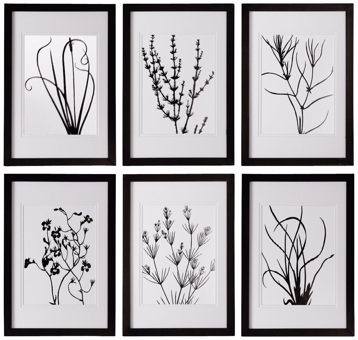 Uttermost Set of 6 Black/White Leaves 18"H Wall Art Prints