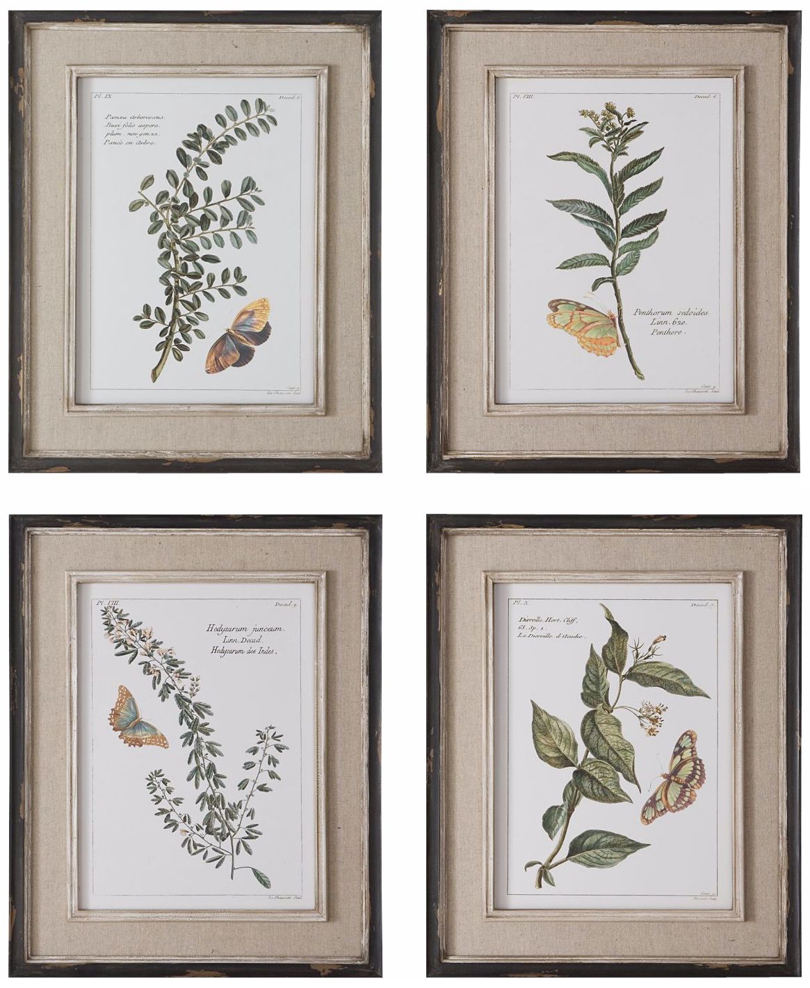 Uttermost Butterfly Plants 21" High Wall Art Prints