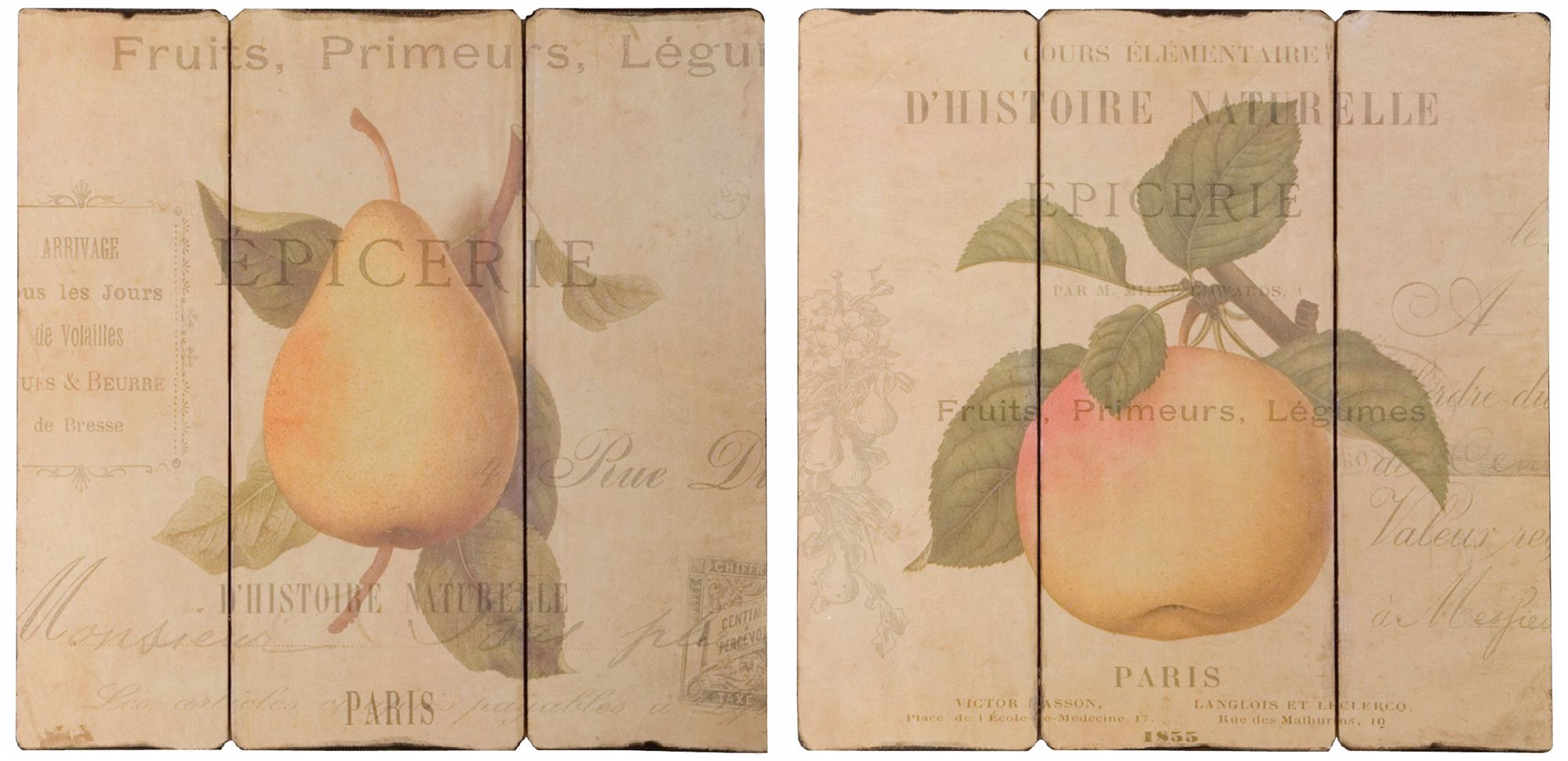 Uttermost Set of 2 French Fruit 20" Square Wall Art Prints