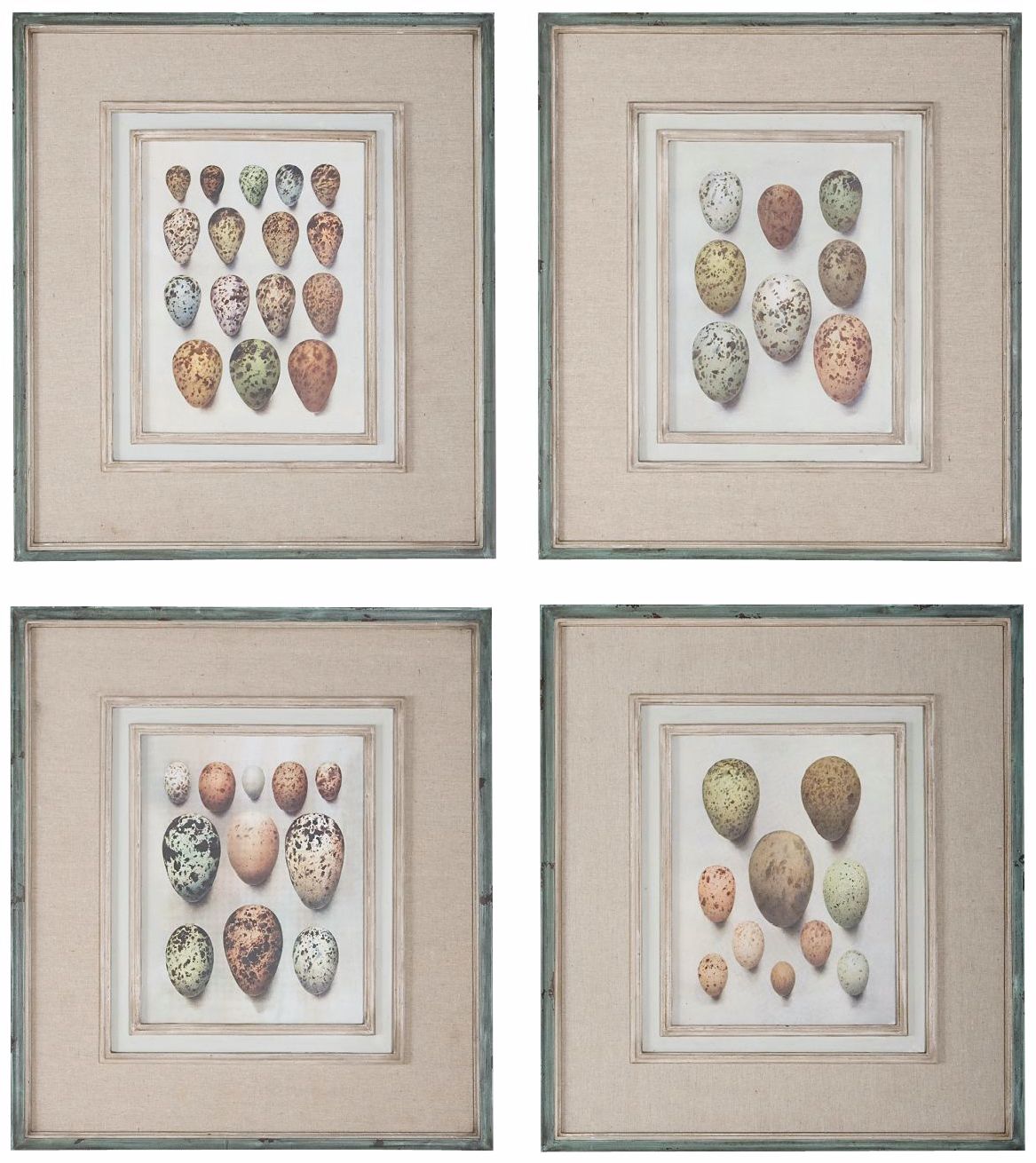 Uttermost Set of 4 Study of Eggs 26" High Wall Art Prints