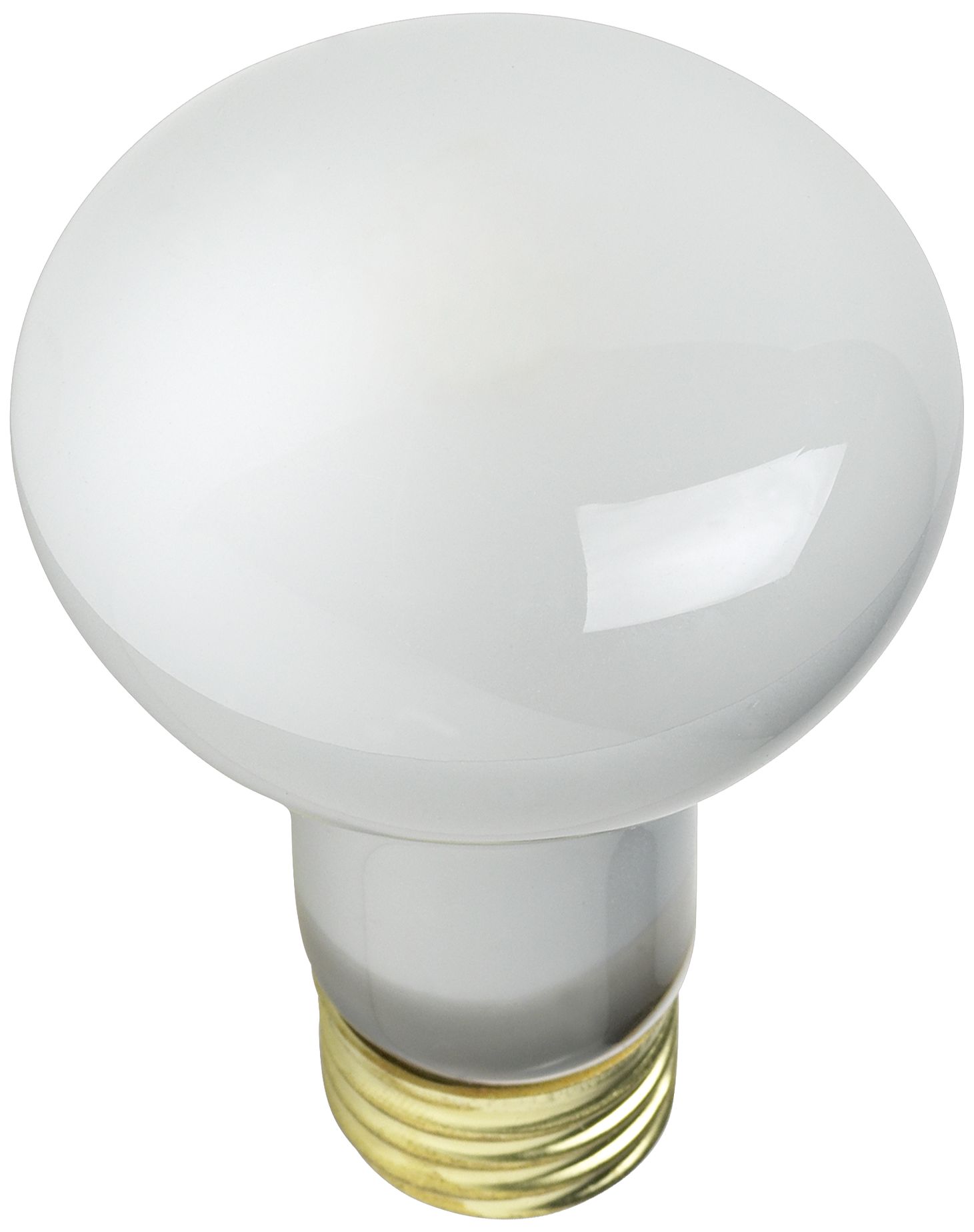45 Watt R-20 Reflector Light Bulb